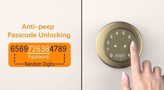 FITNATE-HS0395 Keypad Door Knob
