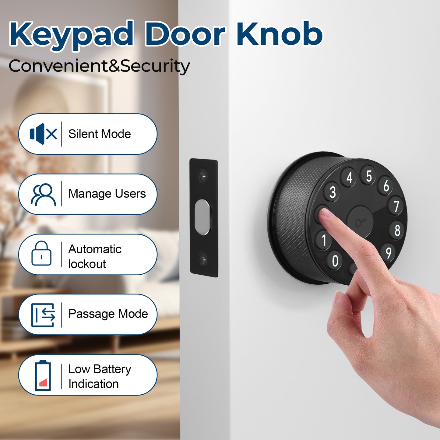 FITNATE 447 Electronic Door Knob with Keypad and Key, 100 Codes
