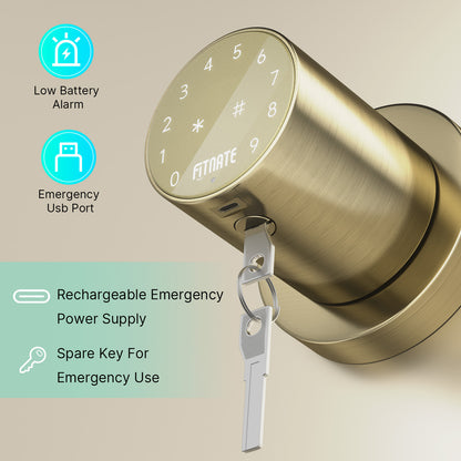 FITNATE 395 Touchscreen Keypad Door Knob, Bronze Gold